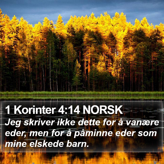 1 Korinter 4:14 NORSK Bible Study