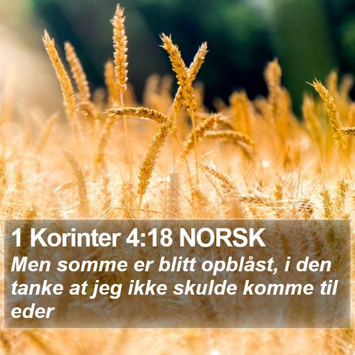1 Korinter 4:18 NORSK Bible Study