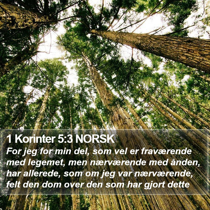 1 Korinter 5:3 NORSK Bible Study