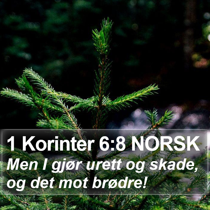 1 Korinter 6:8 NORSK Bible Study