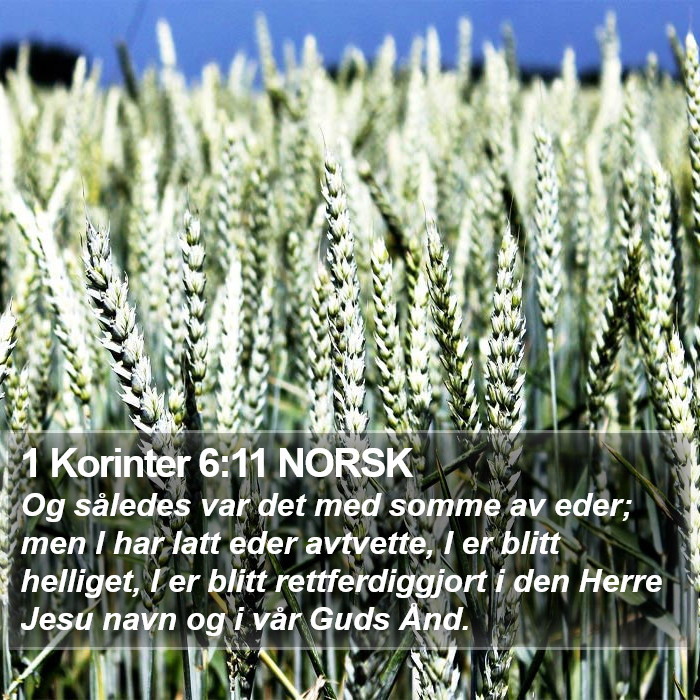1 Korinter 6:11 NORSK Bible Study