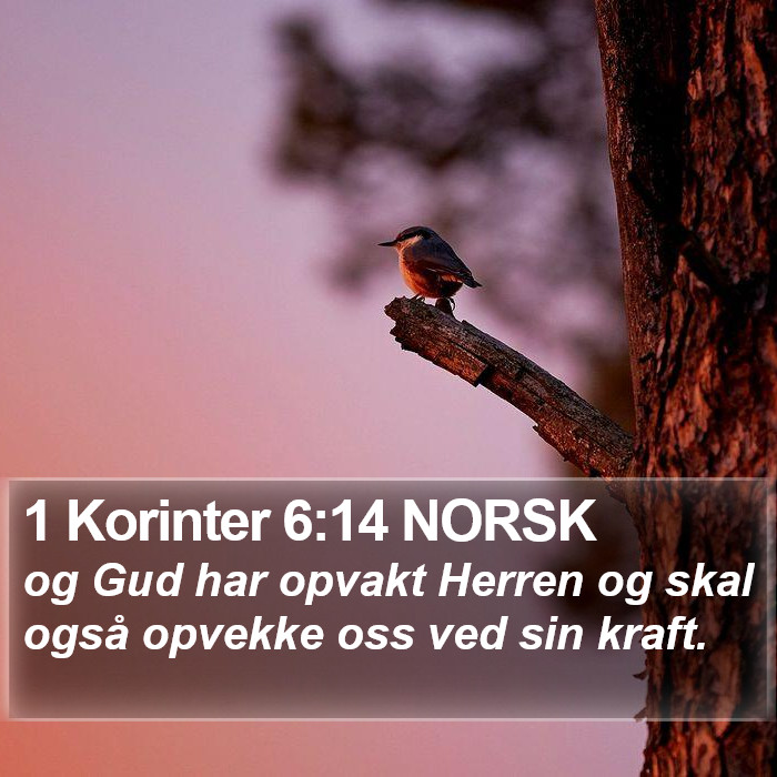 1 Korinter 6:14 NORSK Bible Study