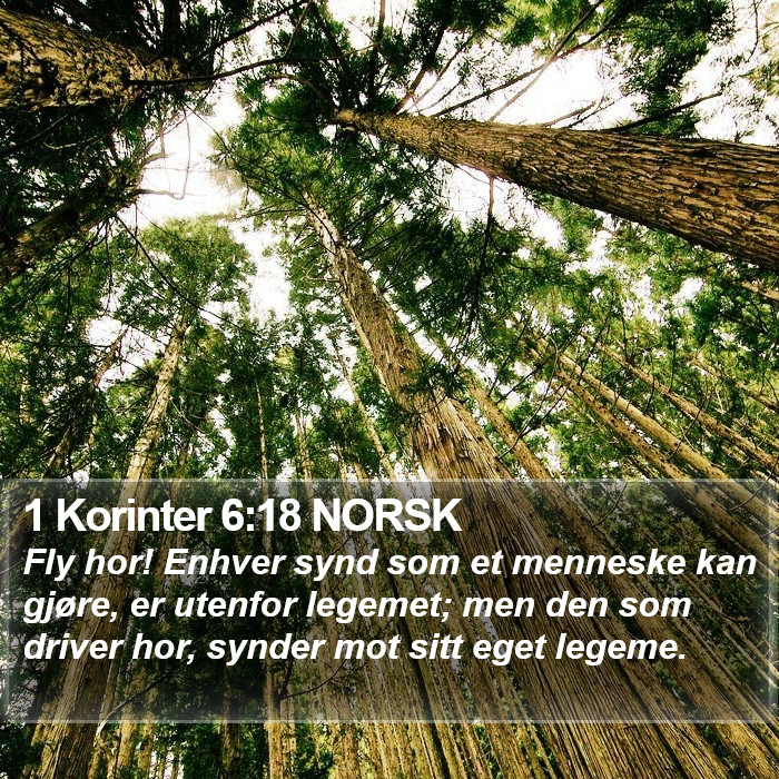 1 Korinter 6:18 NORSK Bible Study