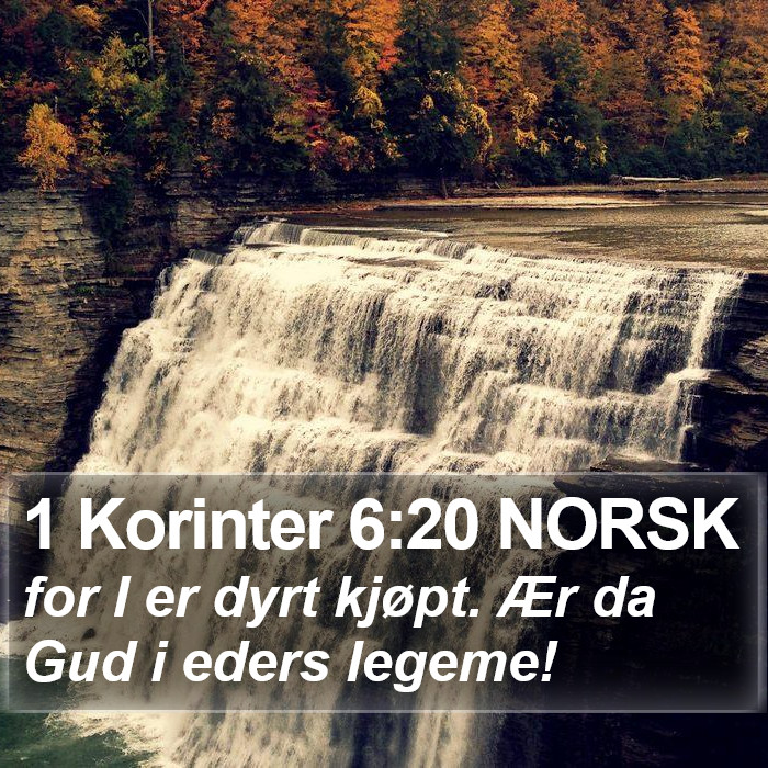 1 Korinter 6:20 NORSK Bible Study