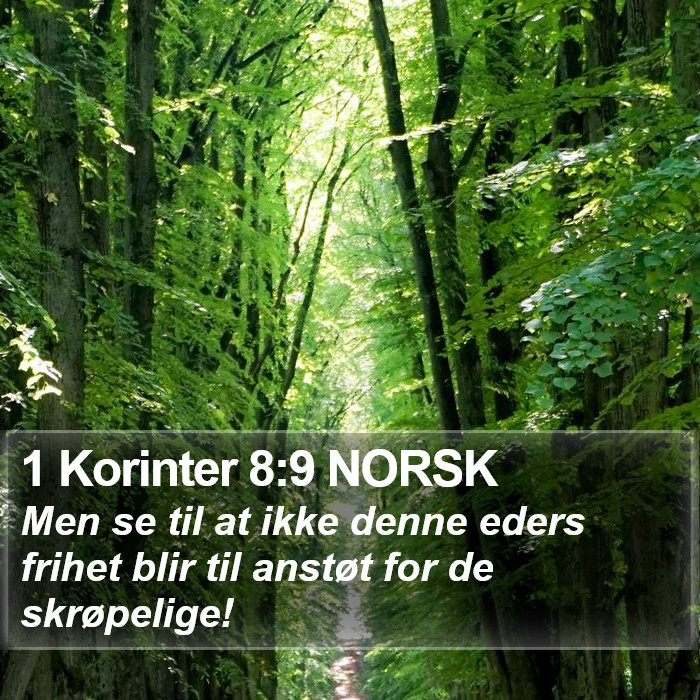 1 Korinter 8:9 NORSK Bible Study