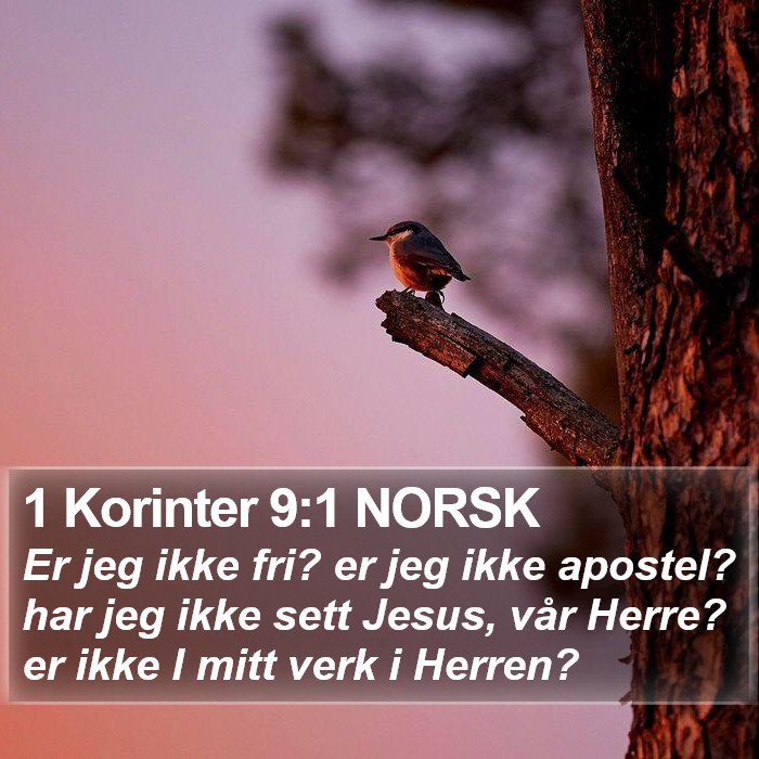 1 Korinter 9:1 NORSK Bible Study