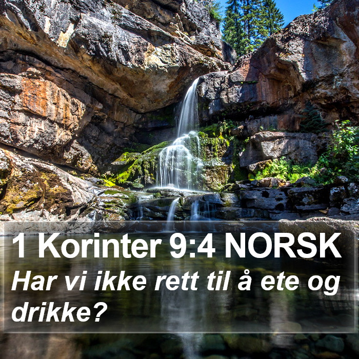 1 Korinter 9:4 NORSK Bible Study