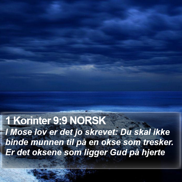 1 Korinter 9:9 NORSK Bible Study