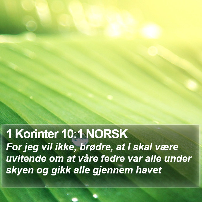 1 Korinter 10:1 NORSK Bible Study