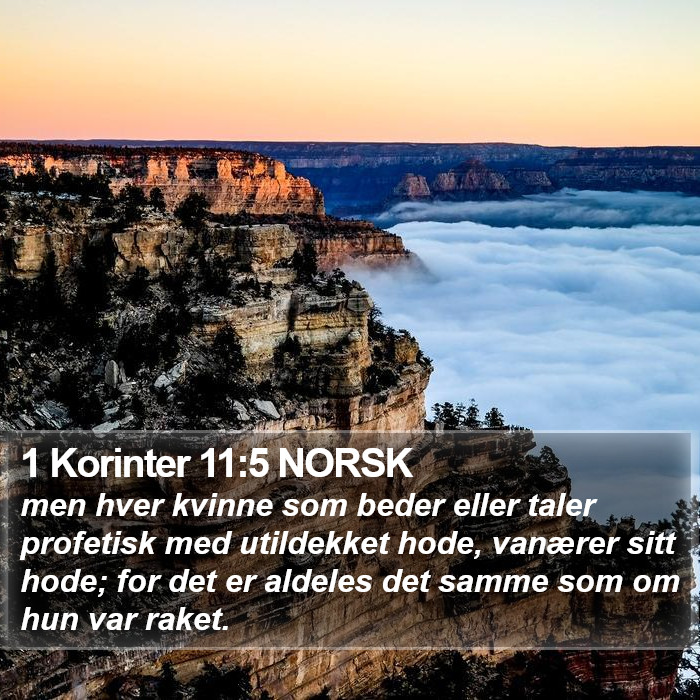 1 Korinter 11:5 NORSK Bible Study