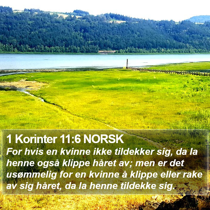 1 Korinter 11:6 NORSK Bible Study