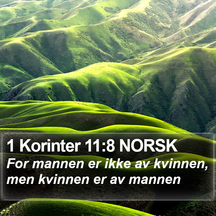 1 Korinter 11:8 NORSK Bible Study