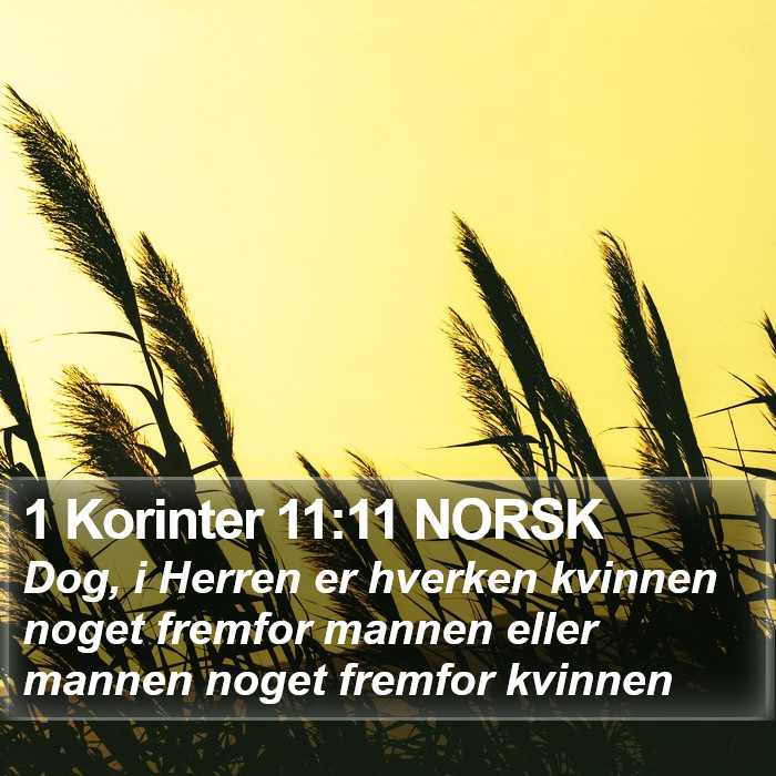 1 Korinter 11:11 NORSK Bible Study