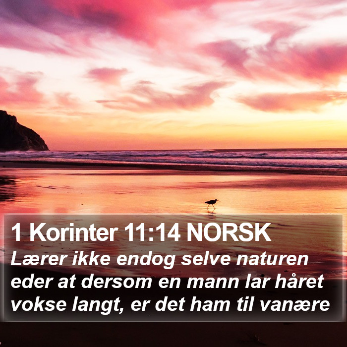 1 Korinter 11:14 NORSK Bible Study