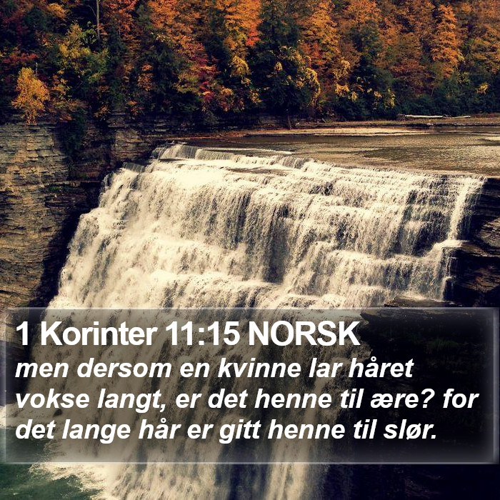 1 Korinter 11:15 NORSK Bible Study