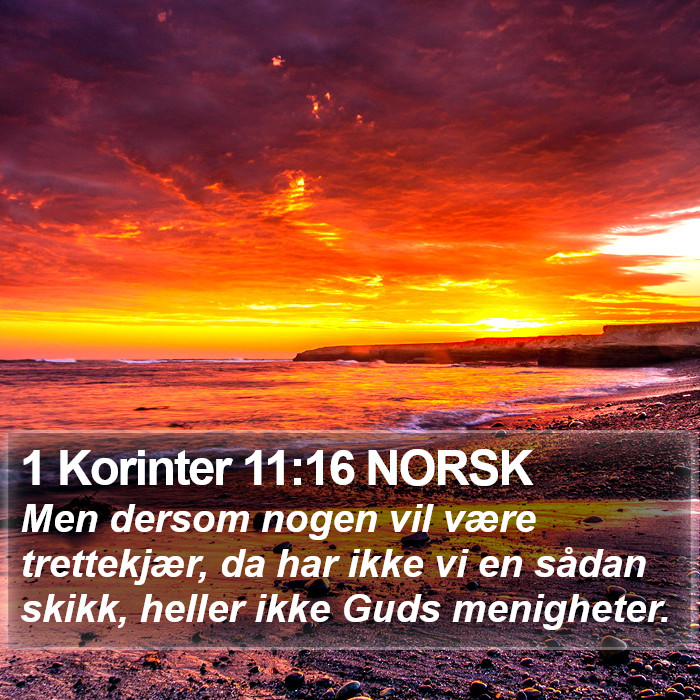1 Korinter 11:16 NORSK Bible Study