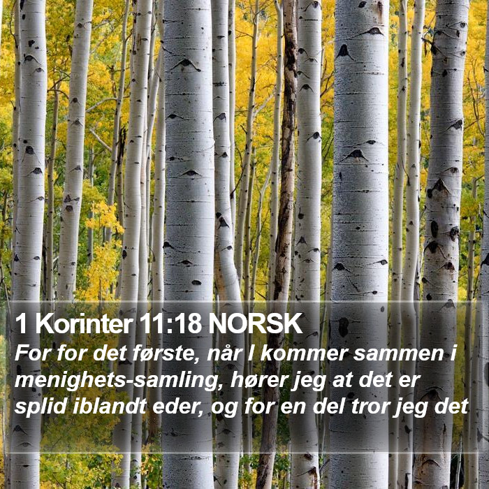 1 Korinter 11:18 NORSK Bible Study