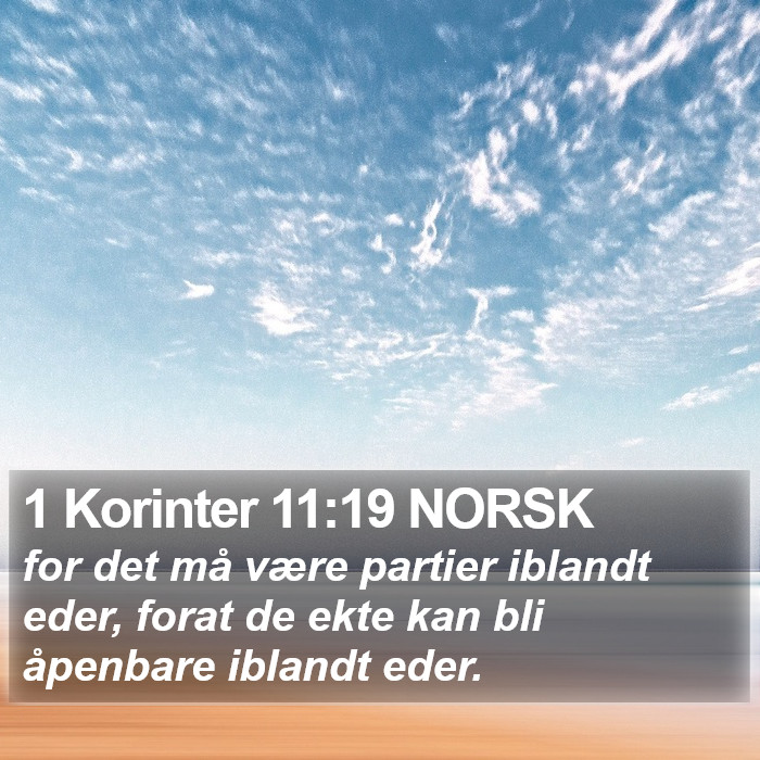 1 Korinter 11:19 NORSK Bible Study