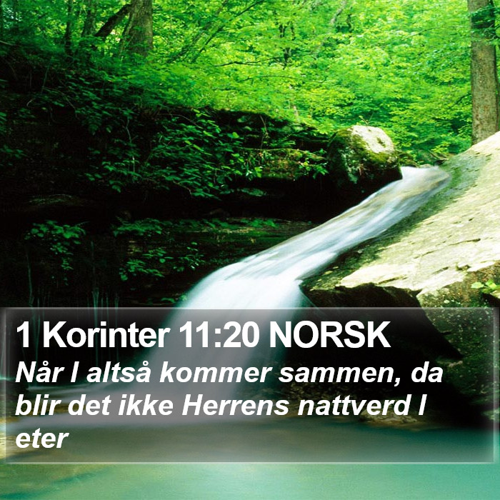 1 Korinter 11:20 NORSK Bible Study
