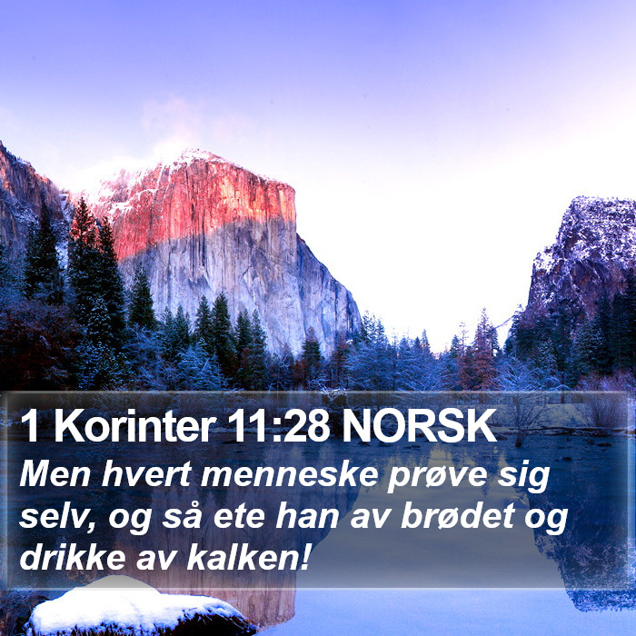 1 Korinter 11:28 NORSK Bible Study