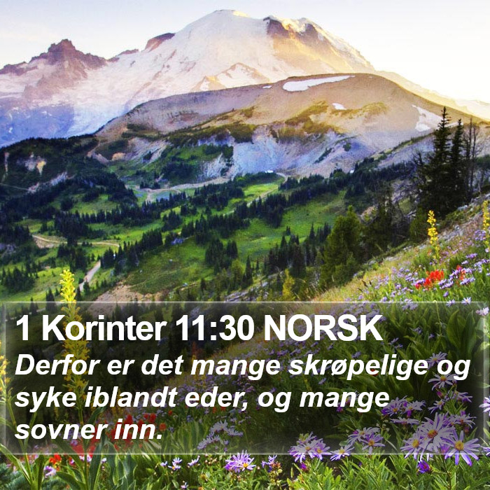 1 Korinter 11:30 NORSK Bible Study