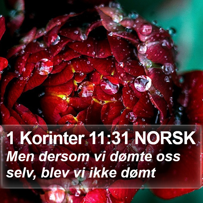 1 Korinter 11:31 NORSK Bible Study