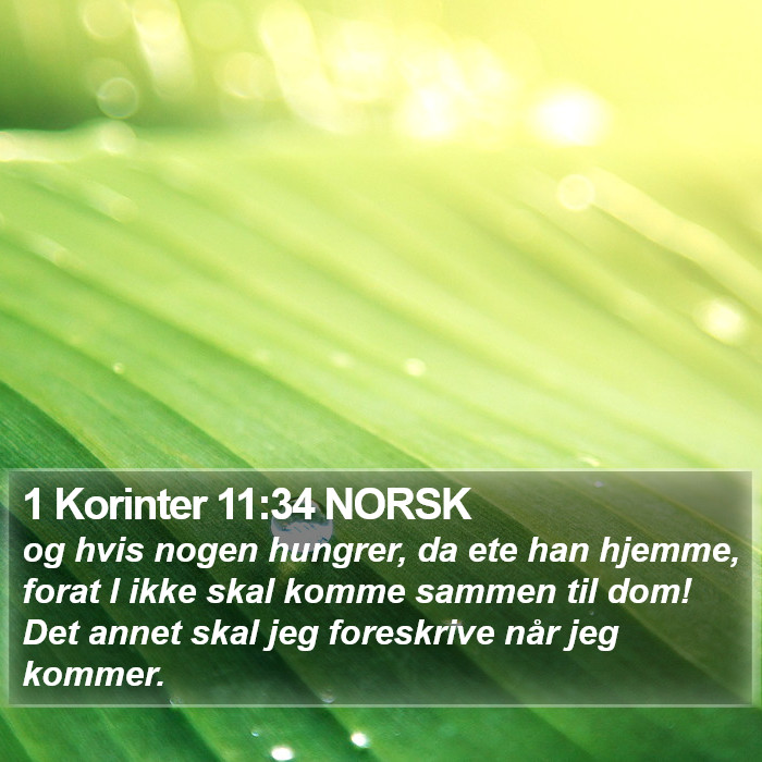 1 Korinter 11:34 NORSK Bible Study