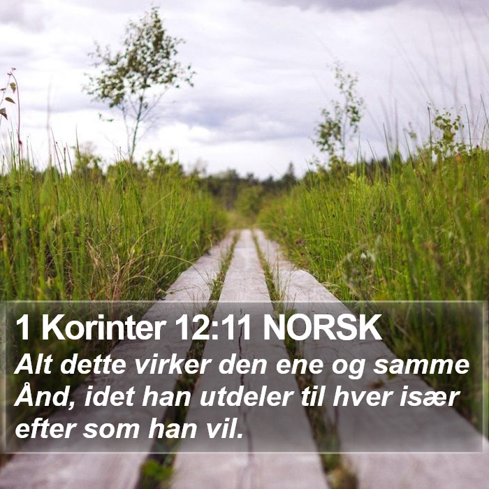 1 Korinter 12:11 NORSK Bible Study