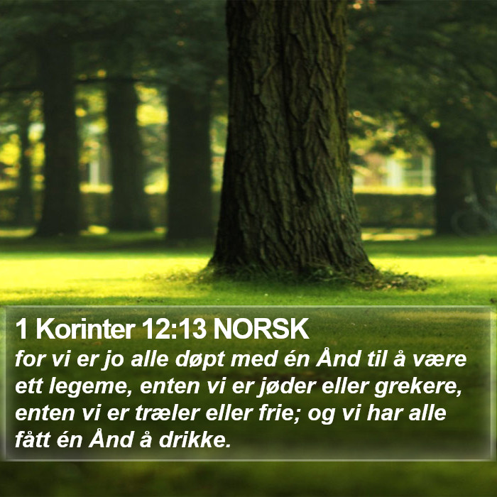 1 Korinter 12:13 NORSK Bible Study