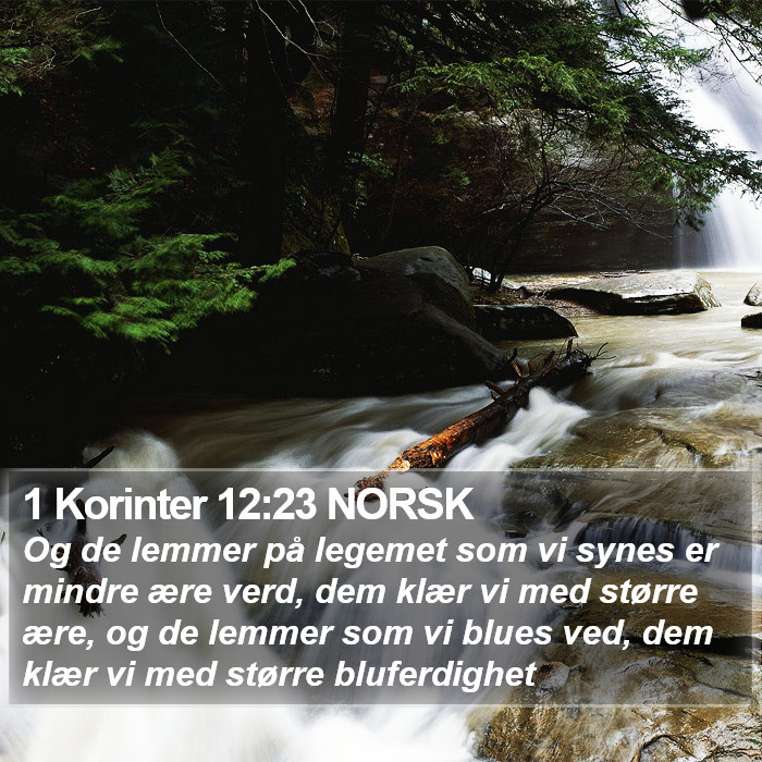 1 Korinter 12:23 NORSK Bible Study