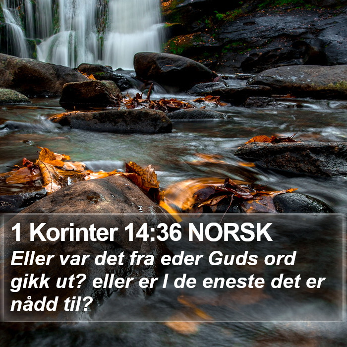 1 Korinter 14:36 NORSK Bible Study