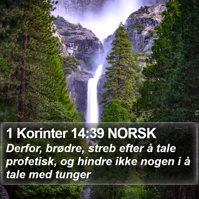 1 Korinter 14:39 NORSK Bible Study