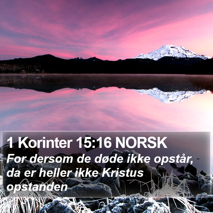 1 Korinter 15:16 NORSK Bible Study