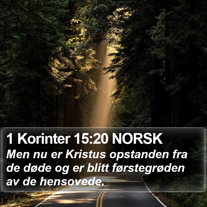 1 Korinter 15:20 NORSK Bible Study