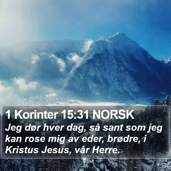 1 Korinter 15:31 NORSK Bible Study