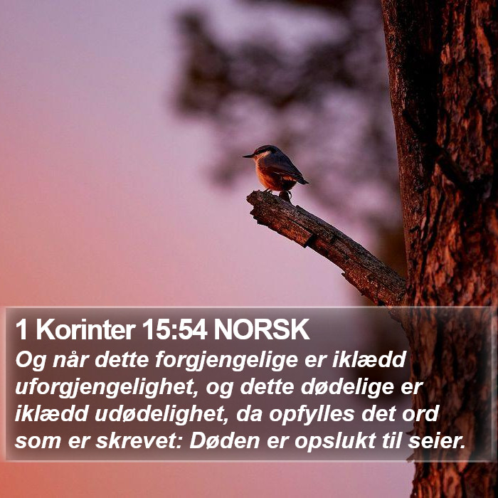 1 Korinter 15:54 NORSK Bible Study