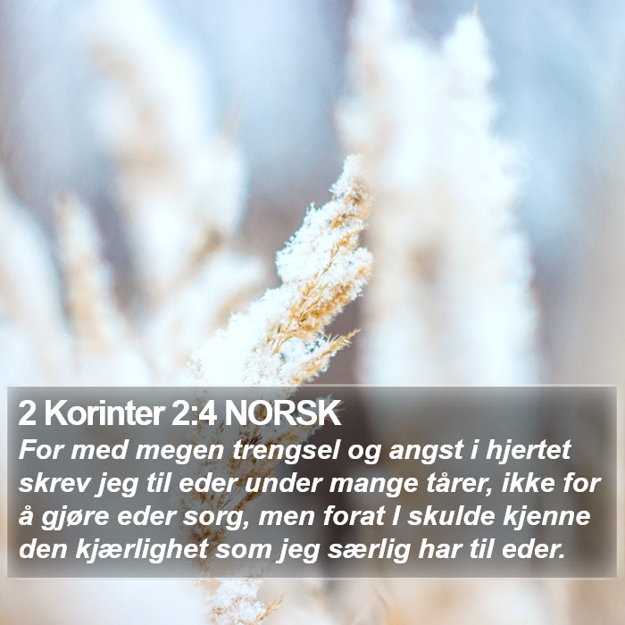 2 Korinter 2:4 NORSK Bible Study