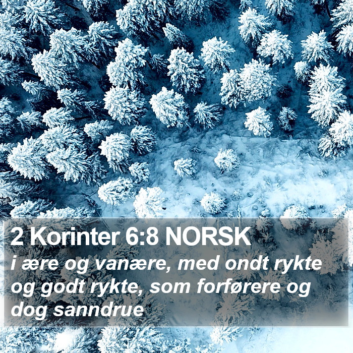 2 Korinter 6:8 NORSK Bible Study