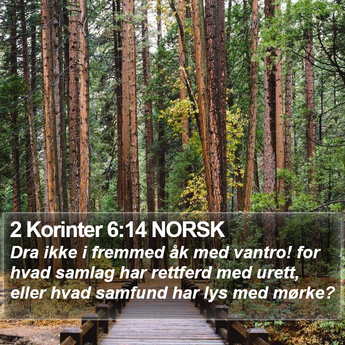 2 Korinter 6:14 NORSK Bible Study