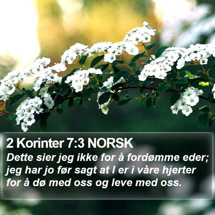 2 Korinter 7:3 NORSK Bible Study