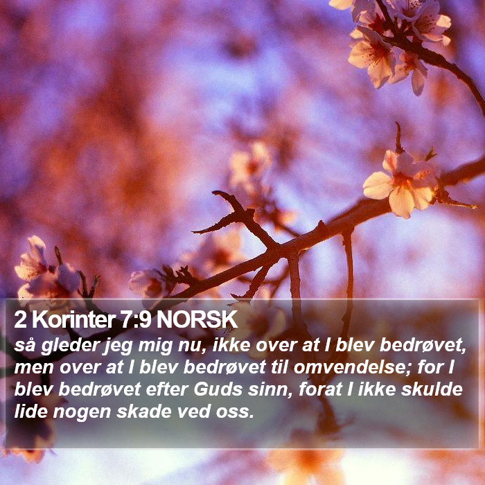 2 Korinter 7:9 NORSK Bible Study