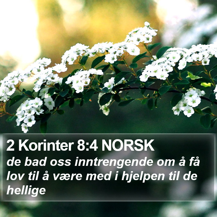 2 Korinter 8:4 NORSK Bible Study