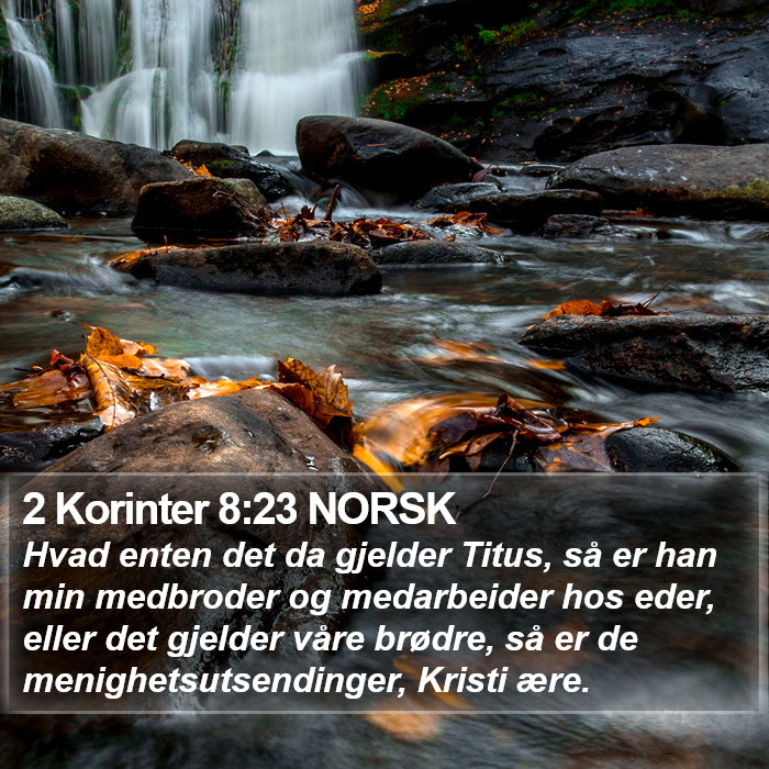 2 Korinter 8:23 NORSK Bible Study