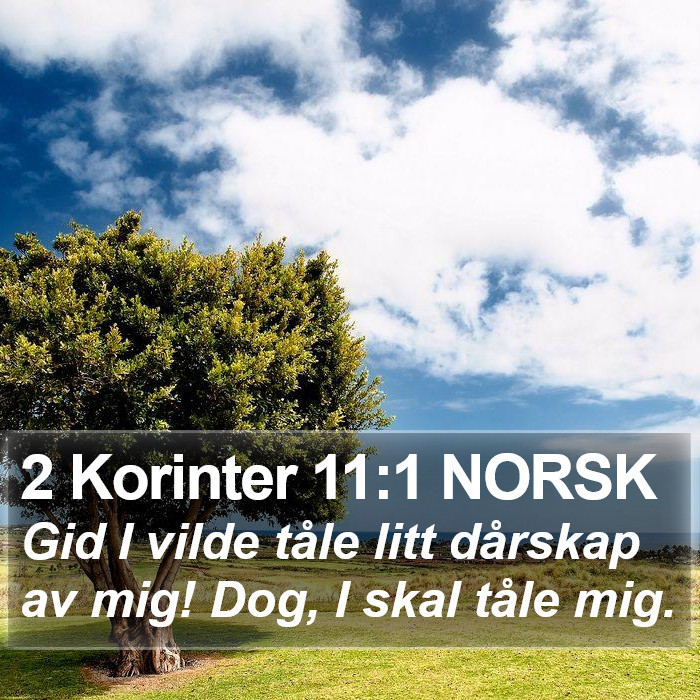 2 Korinter 11:1 NORSK Bible Study