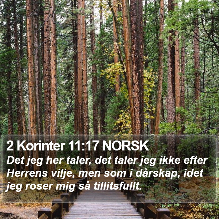 2 Korinter 11:17 NORSK Bible Study