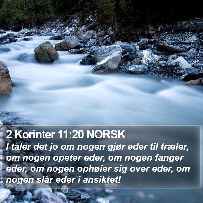 2 Korinter 11:20 NORSK Bible Study