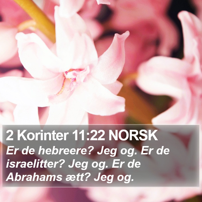 2 Korinter 11:22 NORSK Bible Study