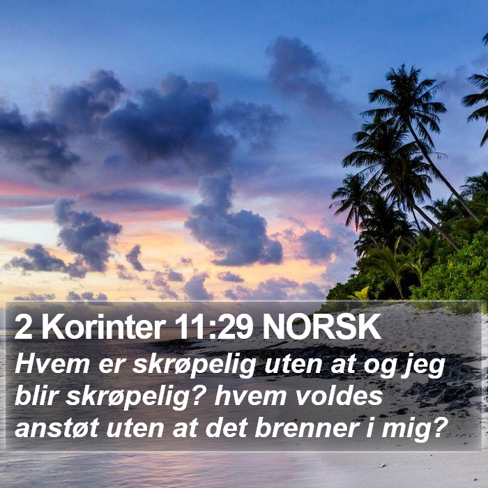 2 Korinter 11:29 NORSK Bible Study