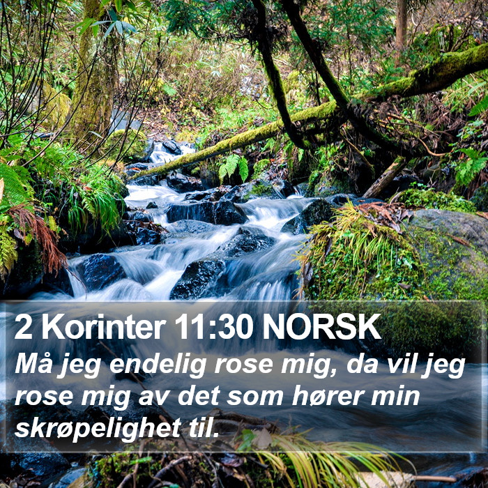 2 Korinter 11:30 NORSK Bible Study