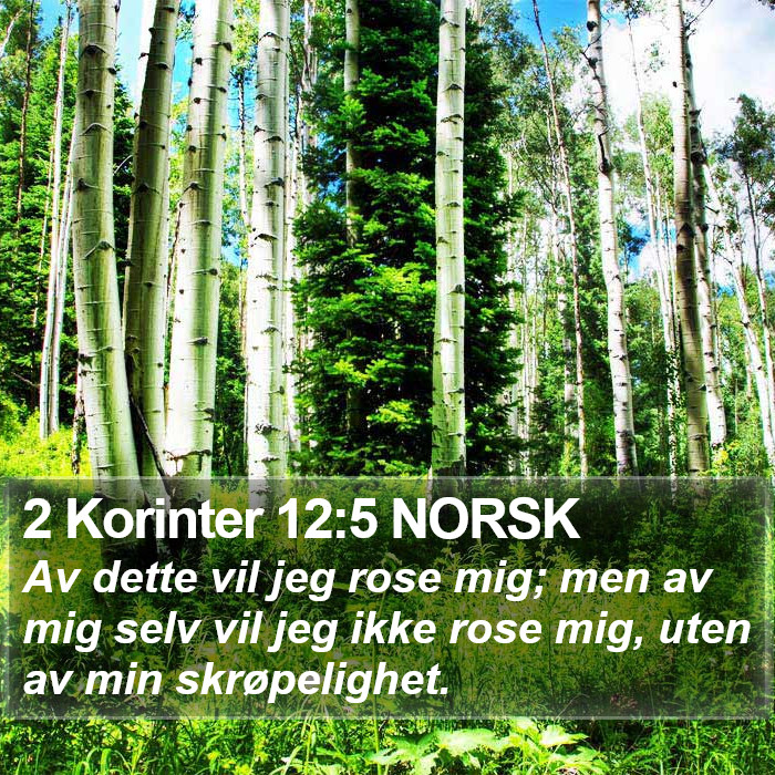 2 Korinter 12:5 NORSK Bible Study